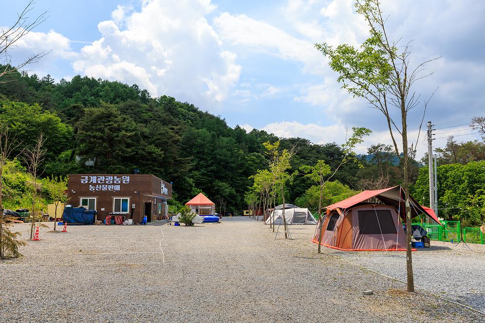 금계관광농원