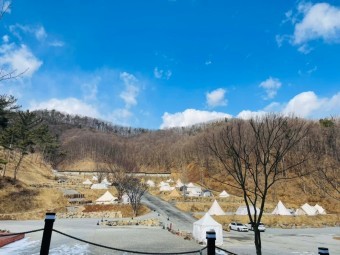 주식회사 더빌리지