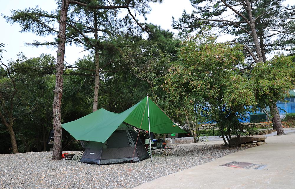 휴먼캠핑장