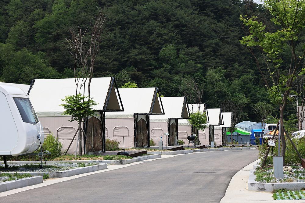 곰취향 가득한 팔랑골 캠핑장