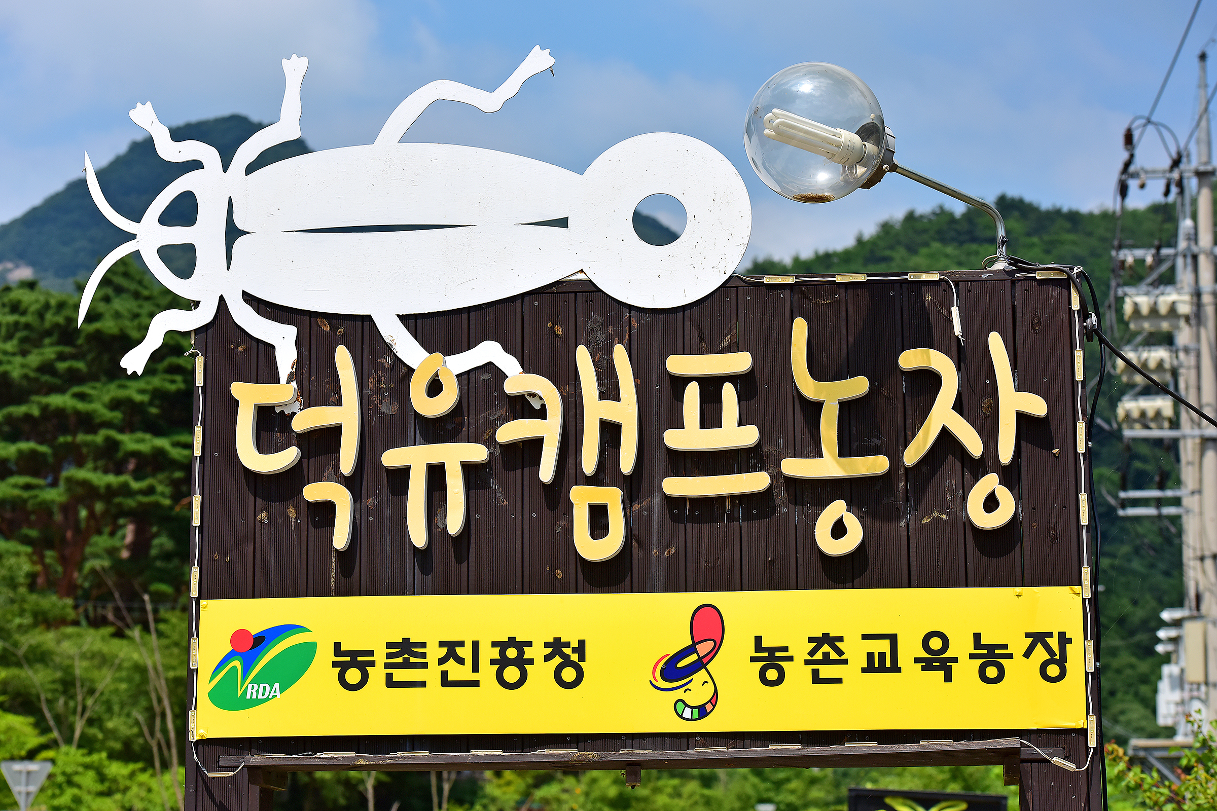 무주눈꽃 덕유캠프