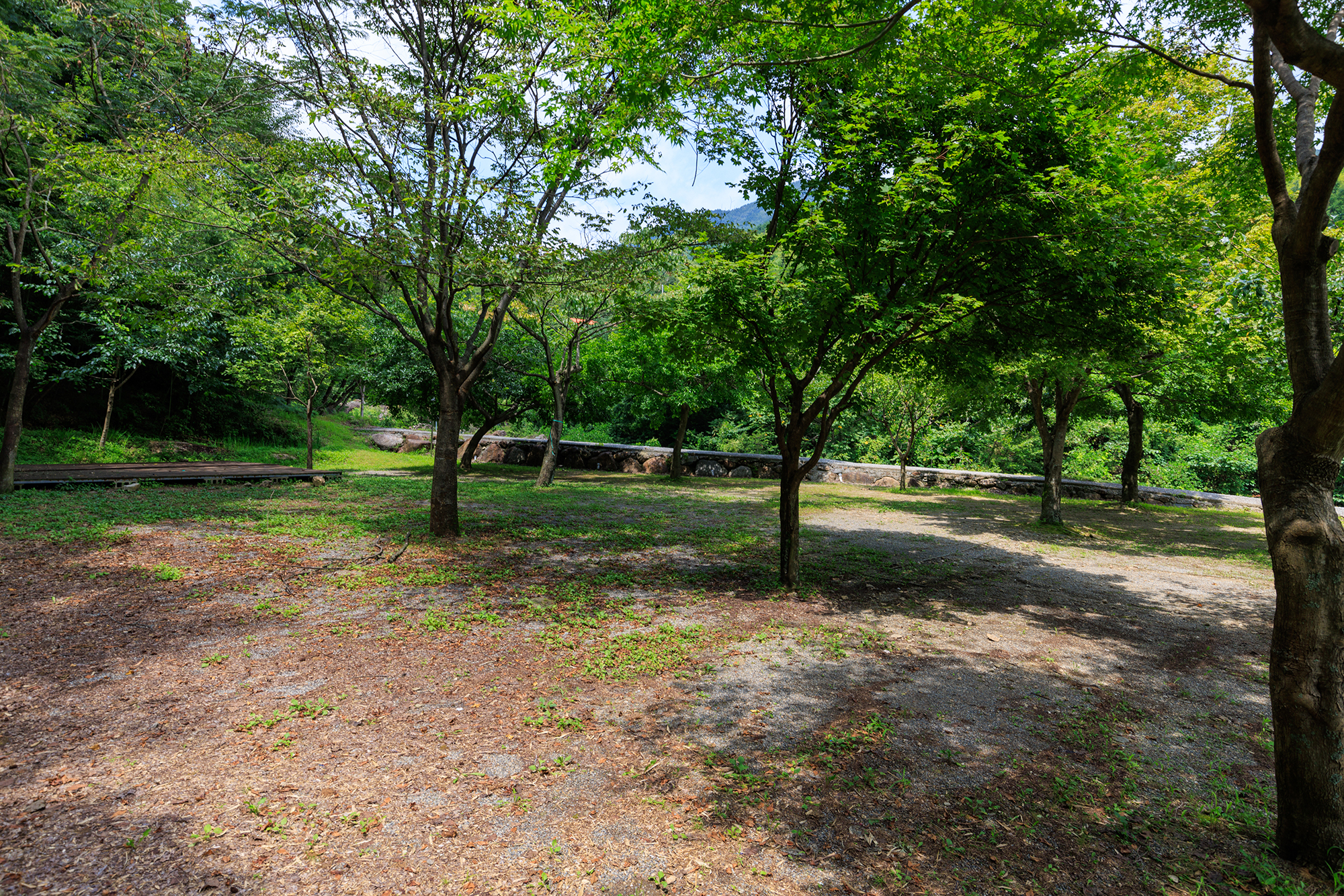 계곡 좋은 펜션 야영장