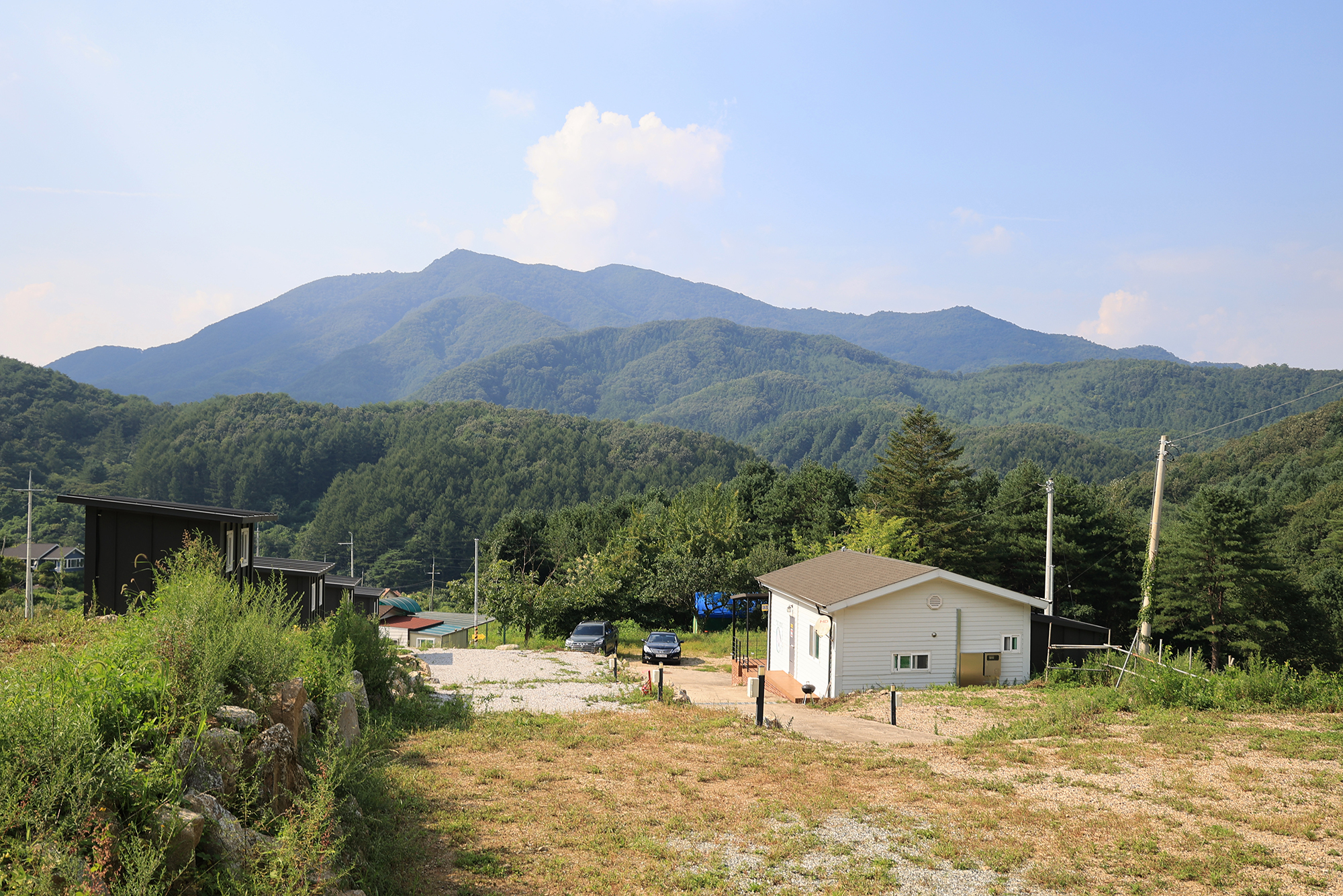 모짜르트