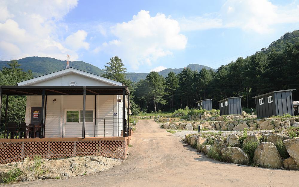 모짜르트