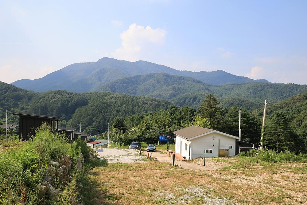 모짜르트