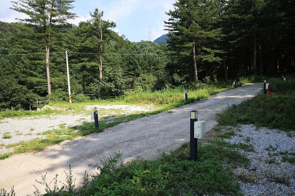 모짜르트