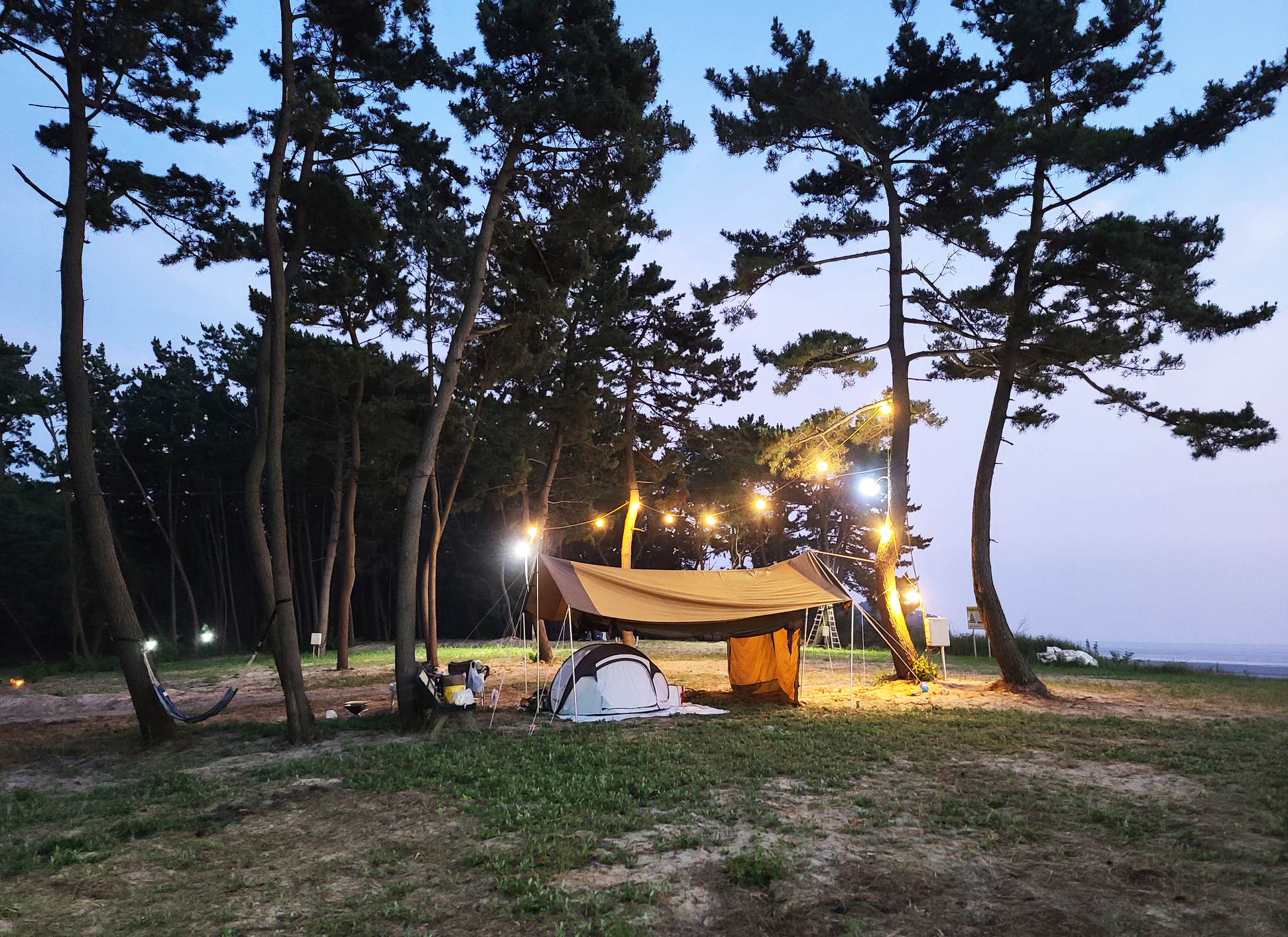 태안노을숲캠핑장
