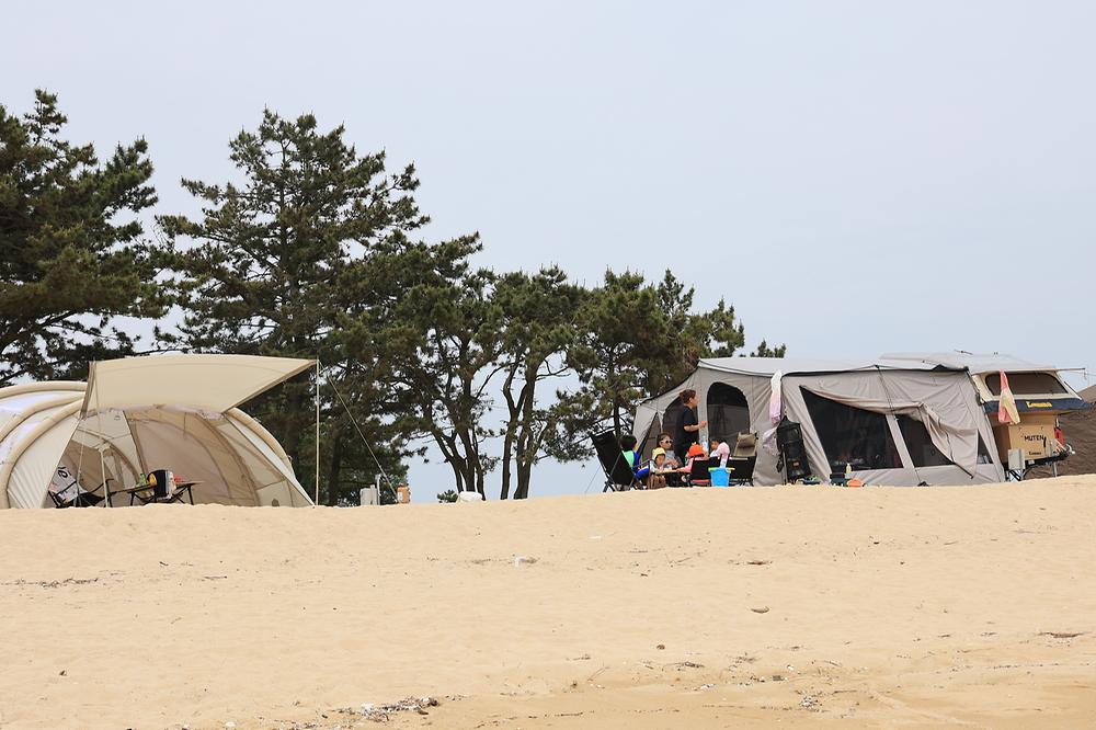 해씨유