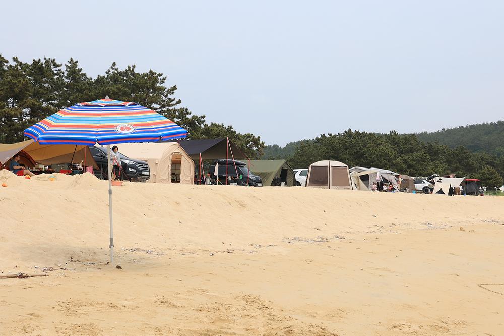 해씨유
