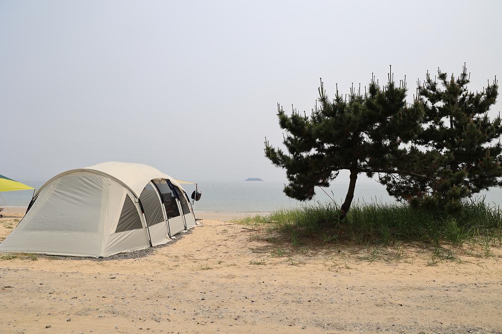 해씨유