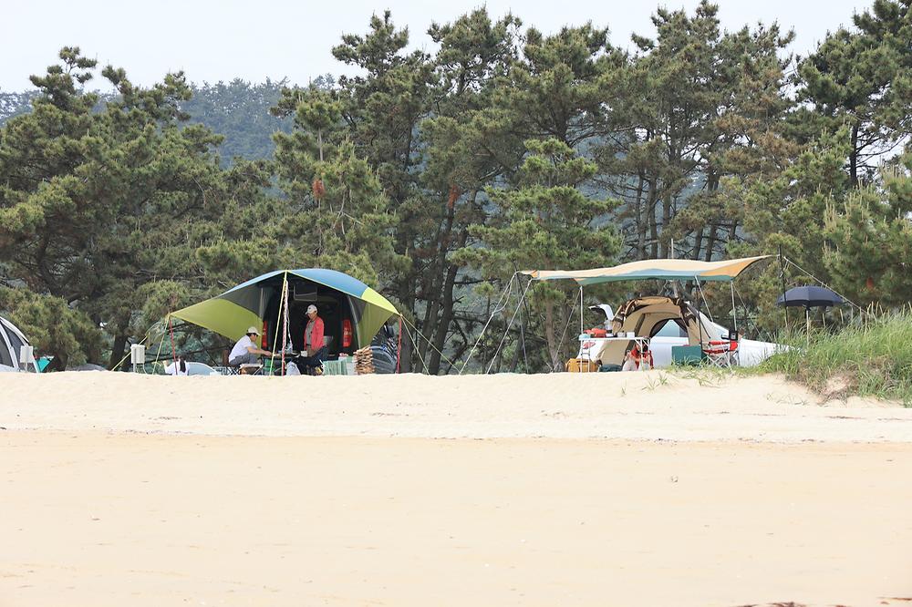 해씨유