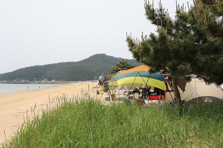 해씨유