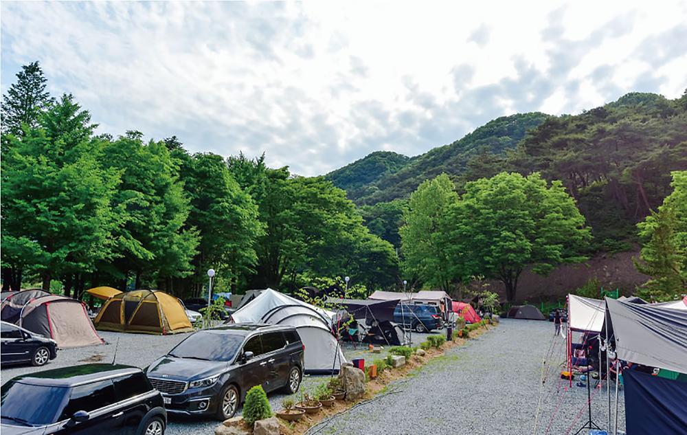 연종 캠핑장
