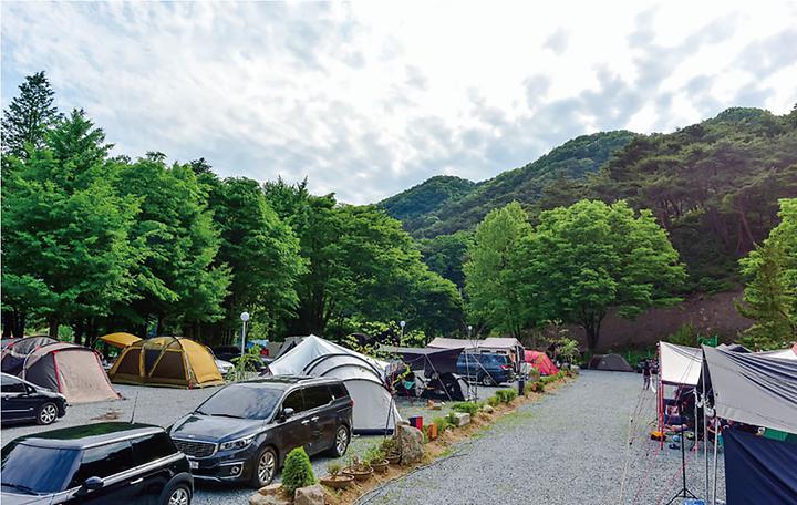 연종 캠핑장
