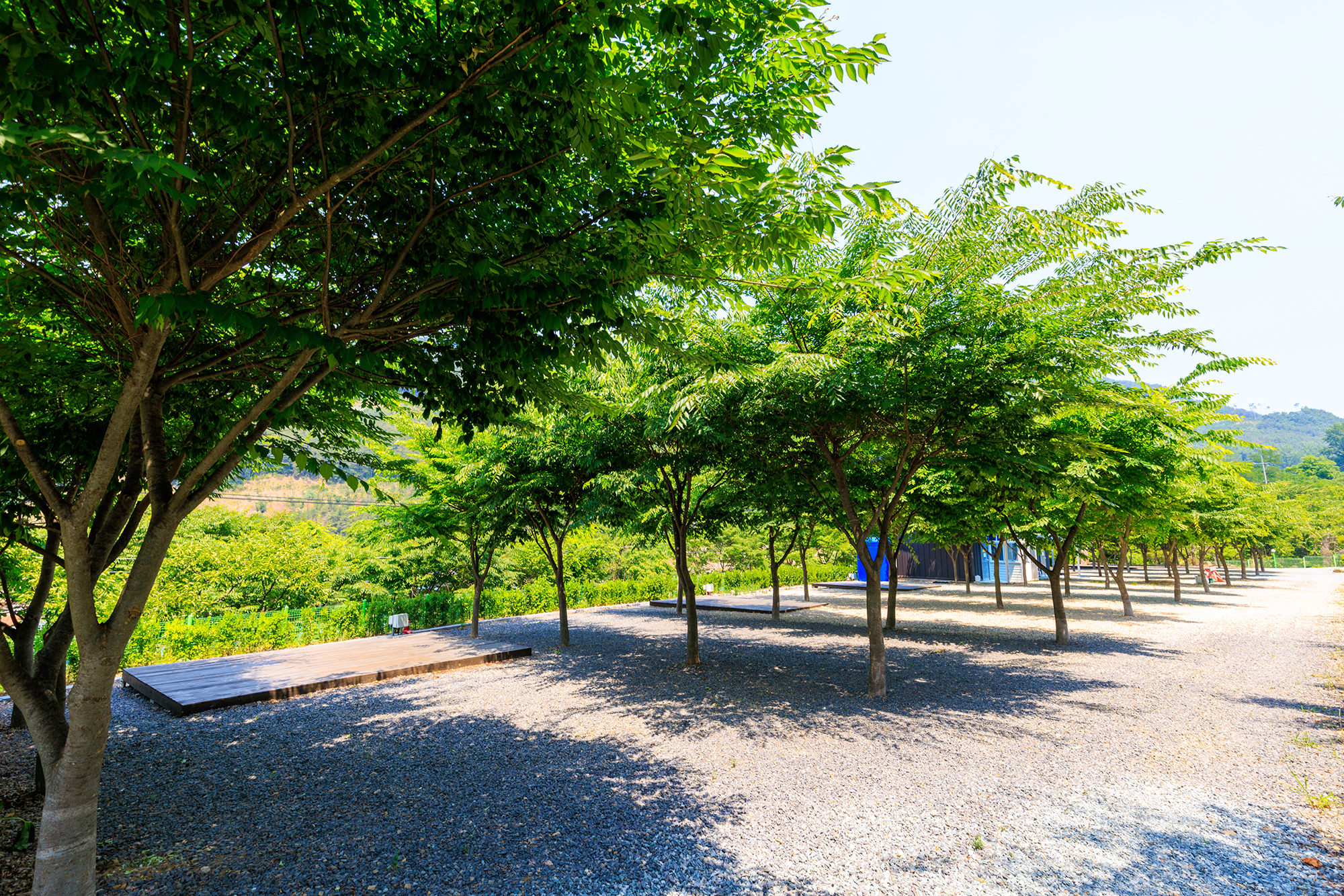 밀양 가보자 캠핑장