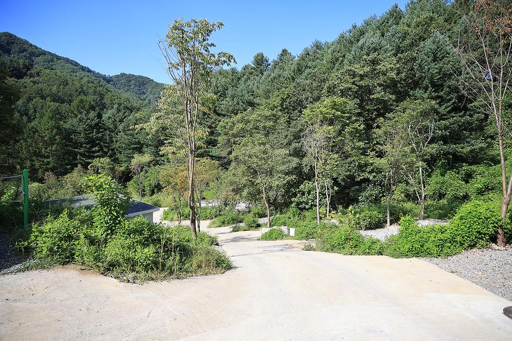 홍천높은터캠핑장