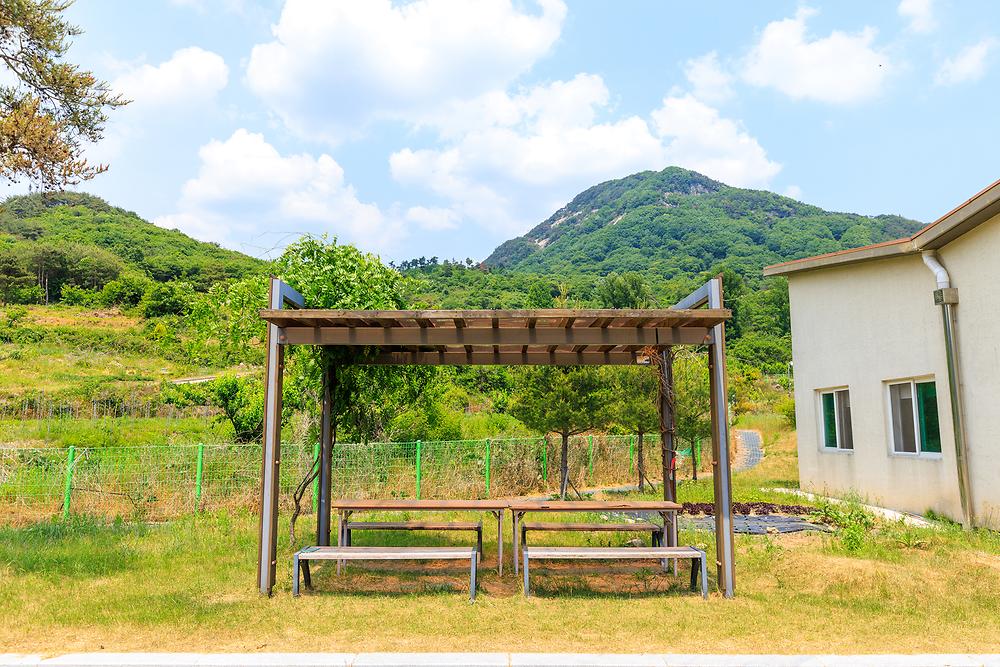 섬진강권역 거북이야영 캠핑장