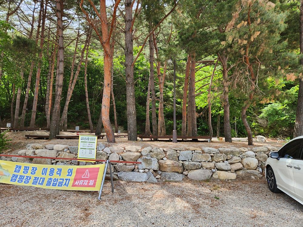 십이선녀탕캠핑장