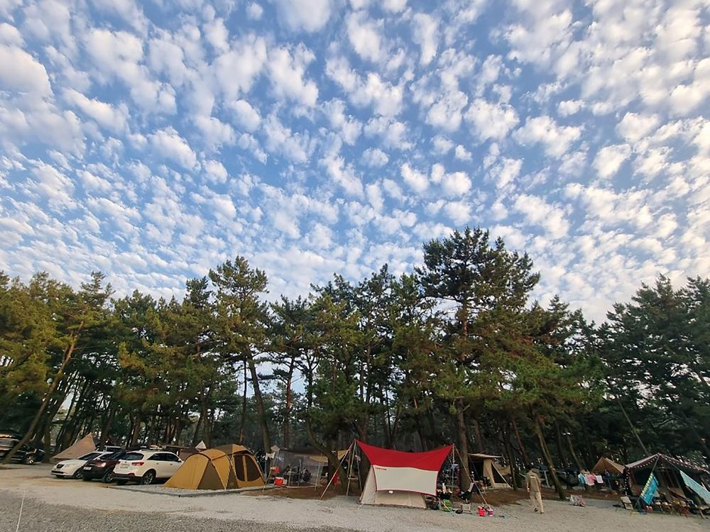 몽산포감성캠핑장