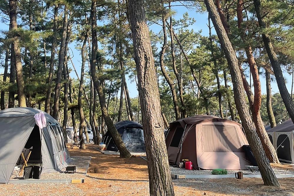 몽산포감성캠핑장