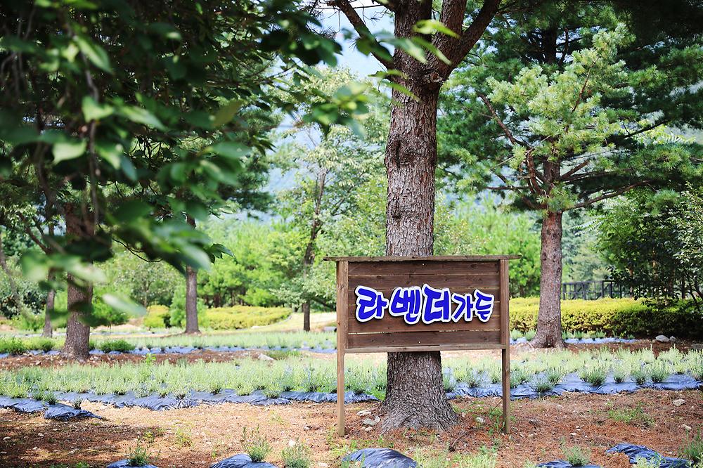 오색허브농원 캠핑장
