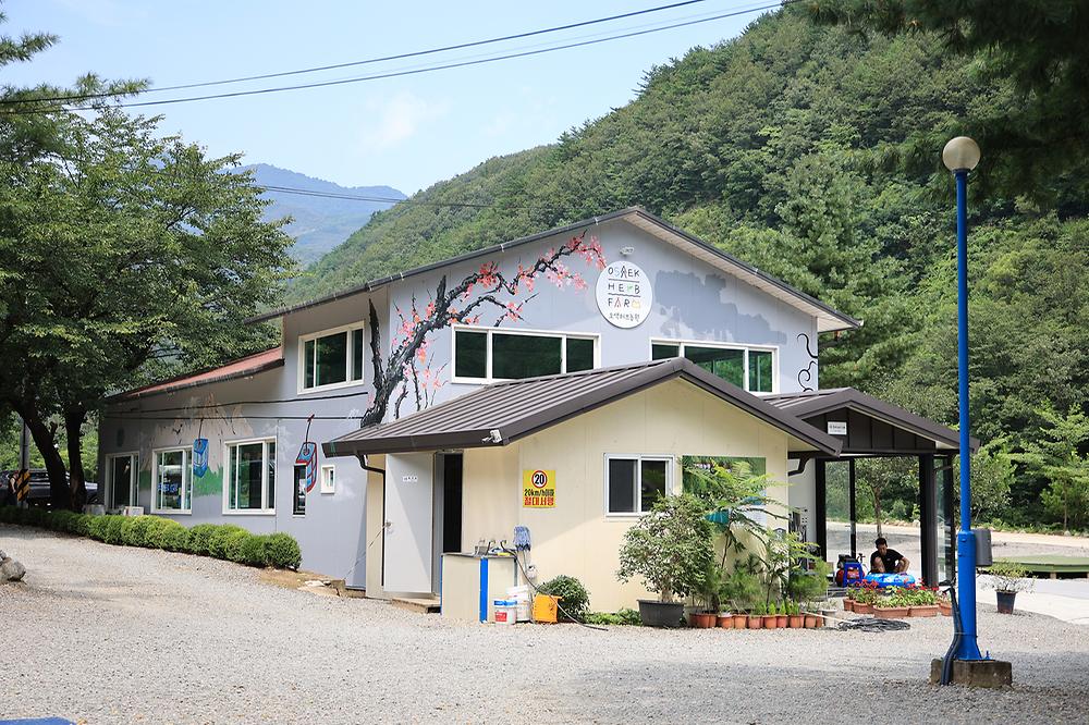 오색허브농원 캠핑장