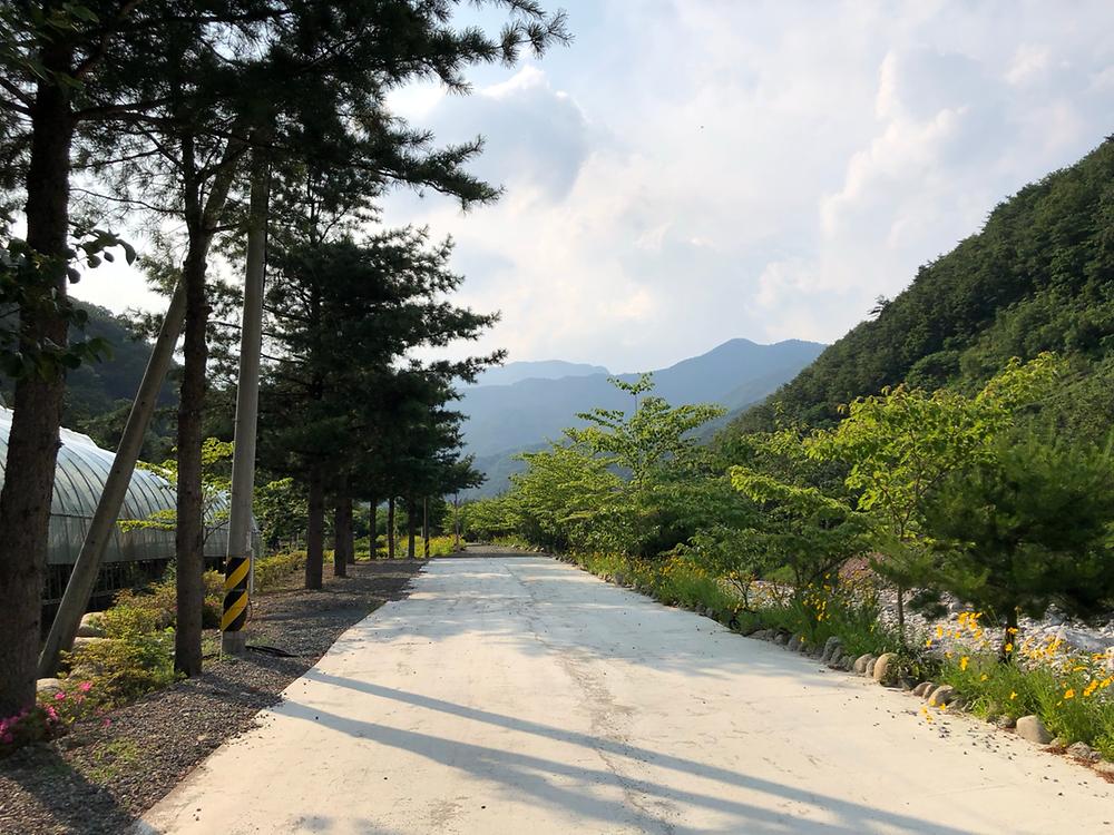오색허브농원 캠핑장