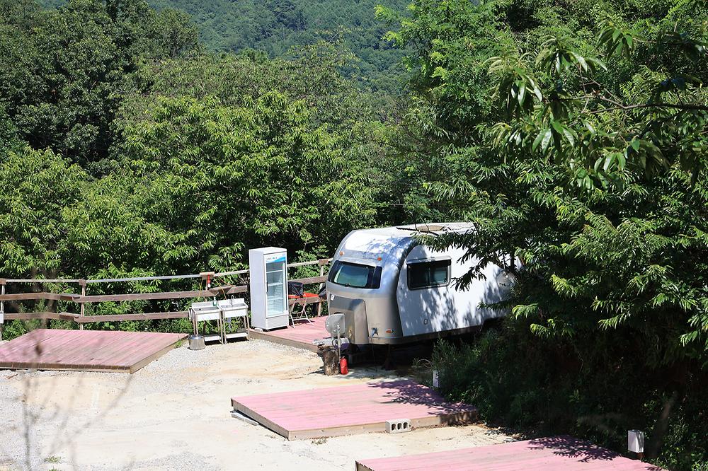 강화 버팔로 캠팜