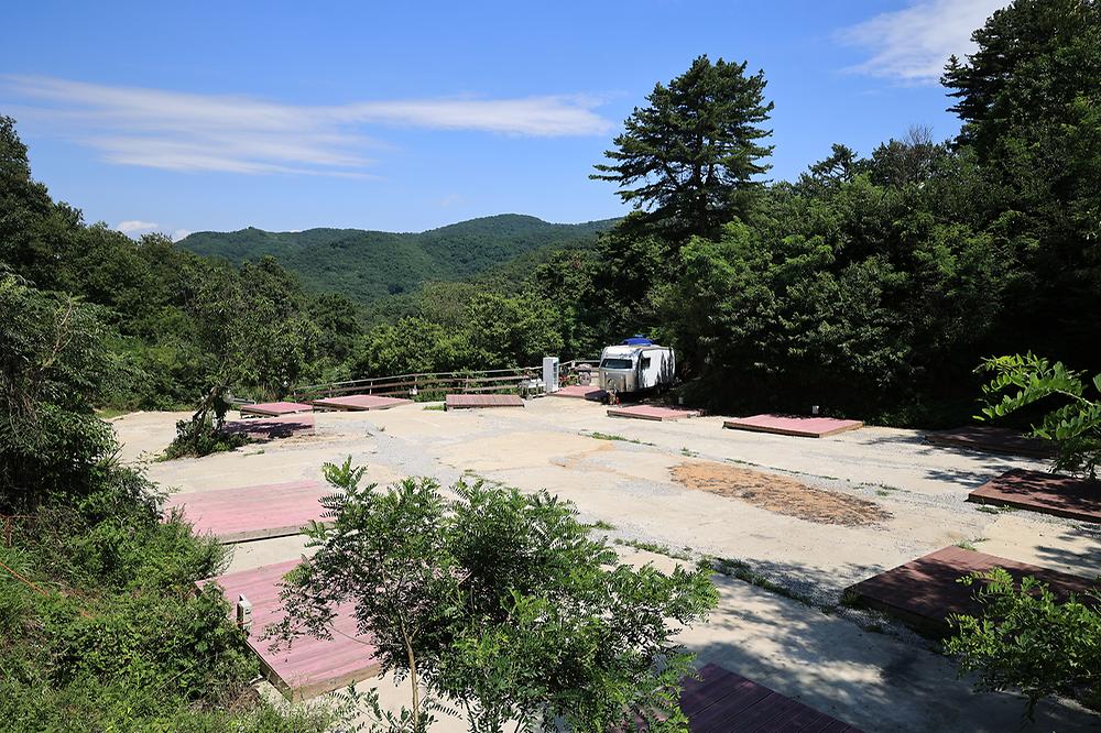 강화 버팔로 캠팜