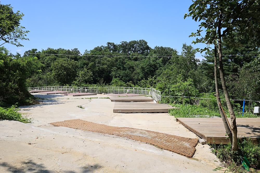 강화 버팔로 캠팜