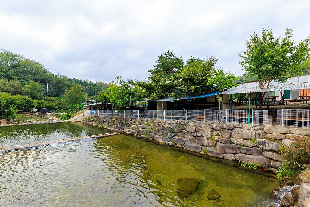 군위 솔밭야영장
