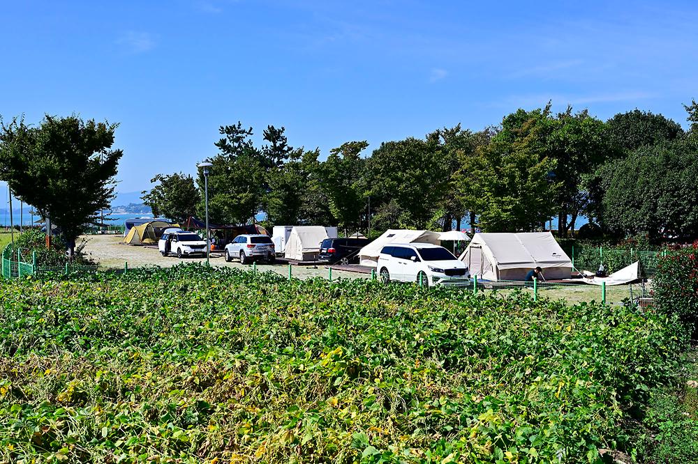 거북선마을 캠핑장