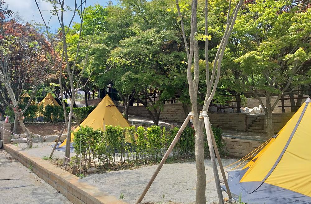 고창군 선운산 국민여가캠핑장