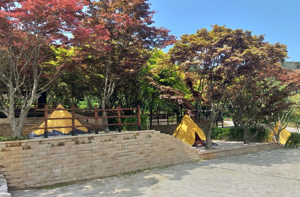 고창군 선운산 국민여가캠핑장