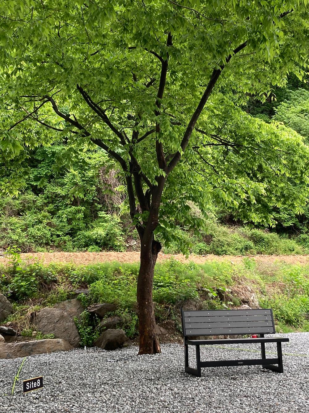 우니메이카(가평점)