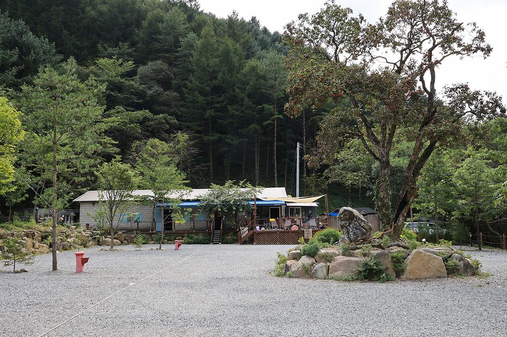 그린필로우