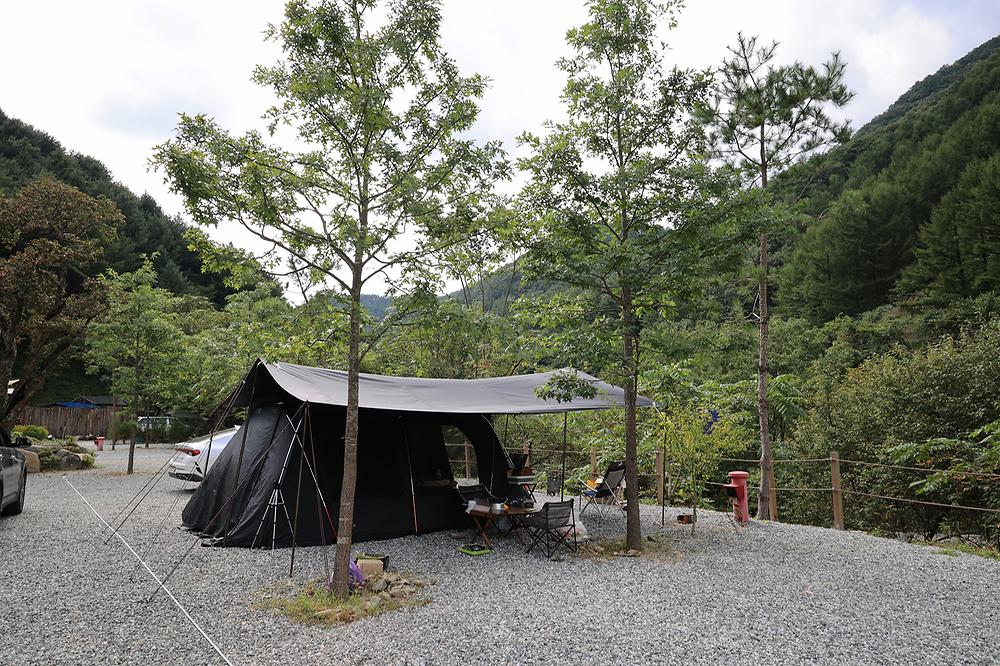 그린필로우