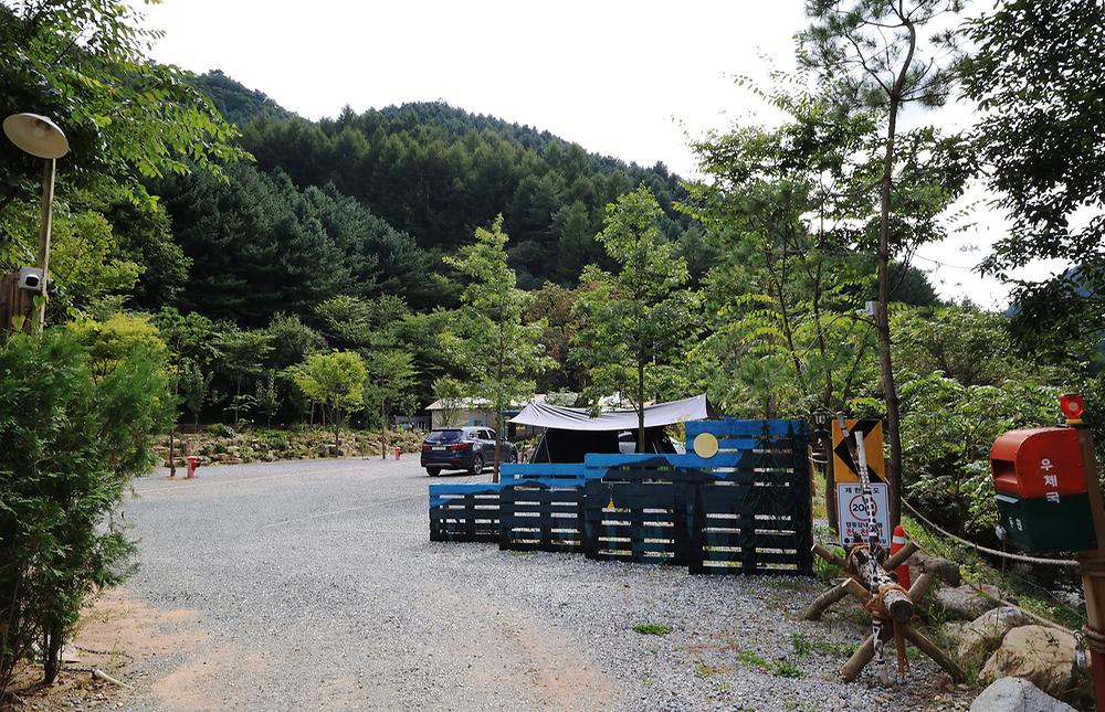그린필로우