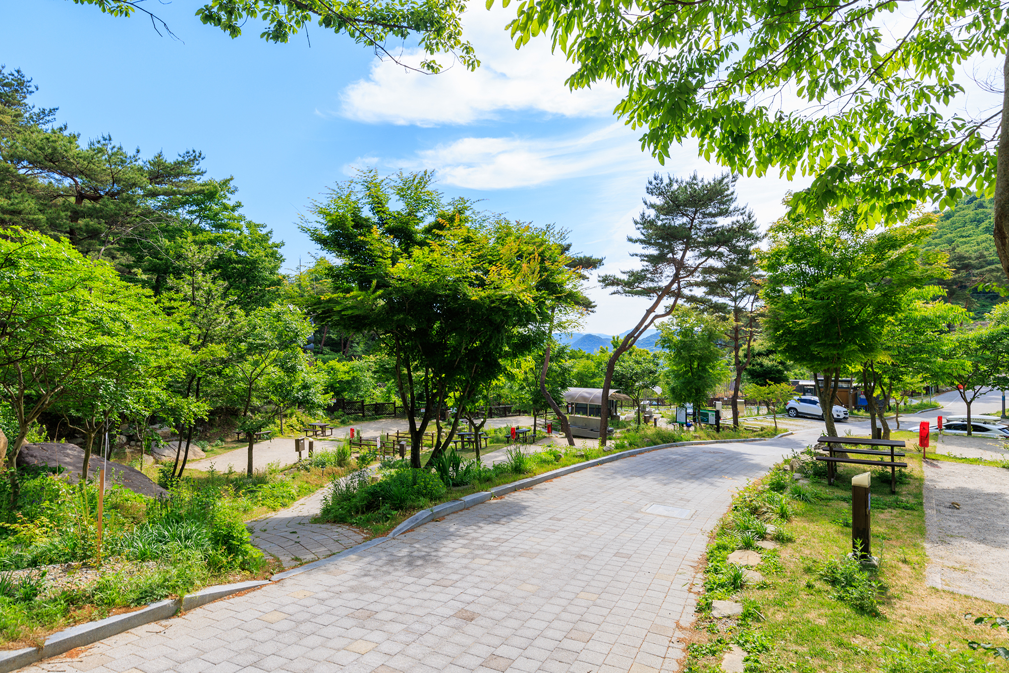도원야영장