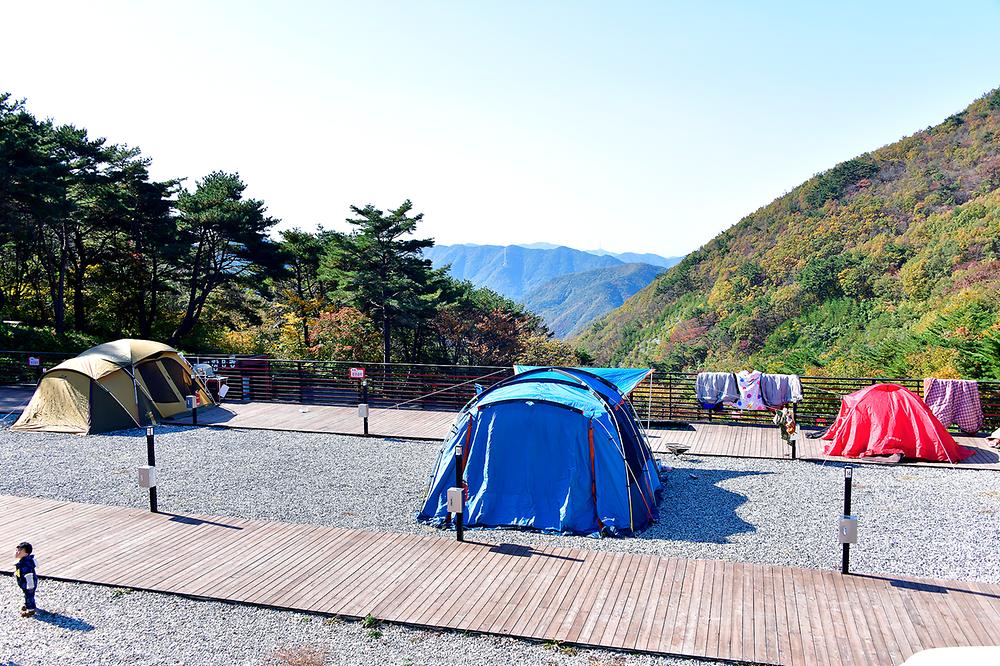도래재별빛마을캠핑장