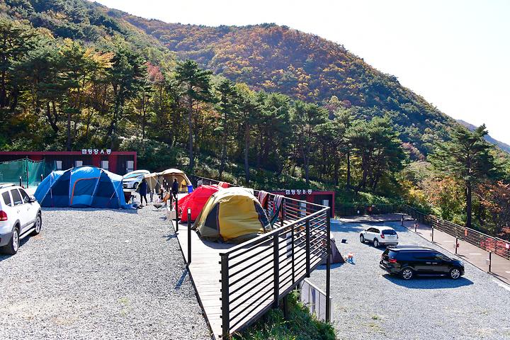 도래재별빛마을캠핑장 메인 이미지