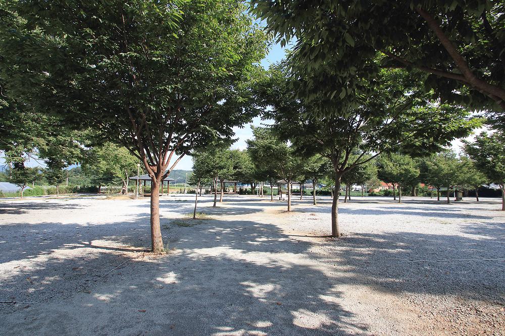 도레미 캠핑장