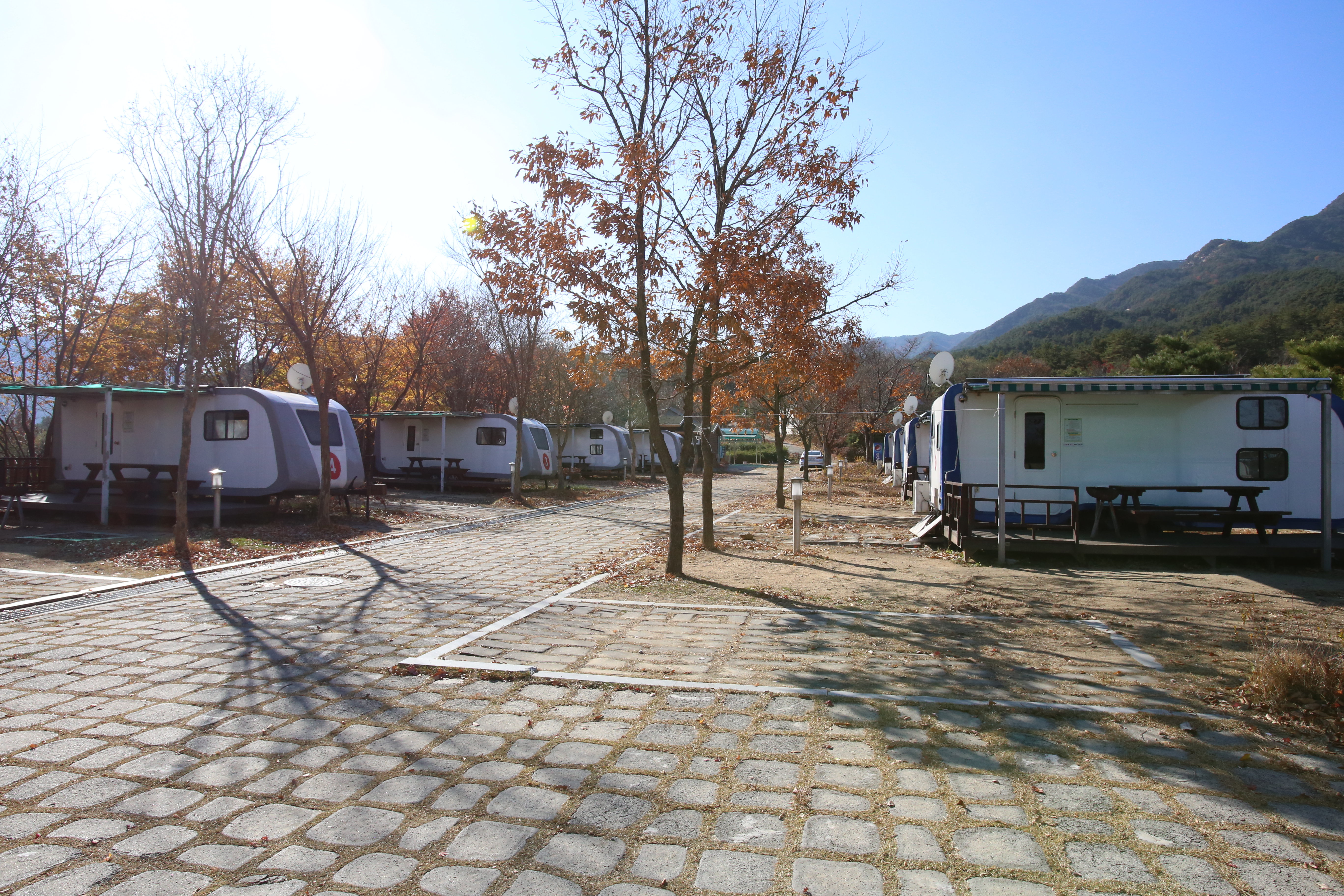 도림사오토캠핑리조트