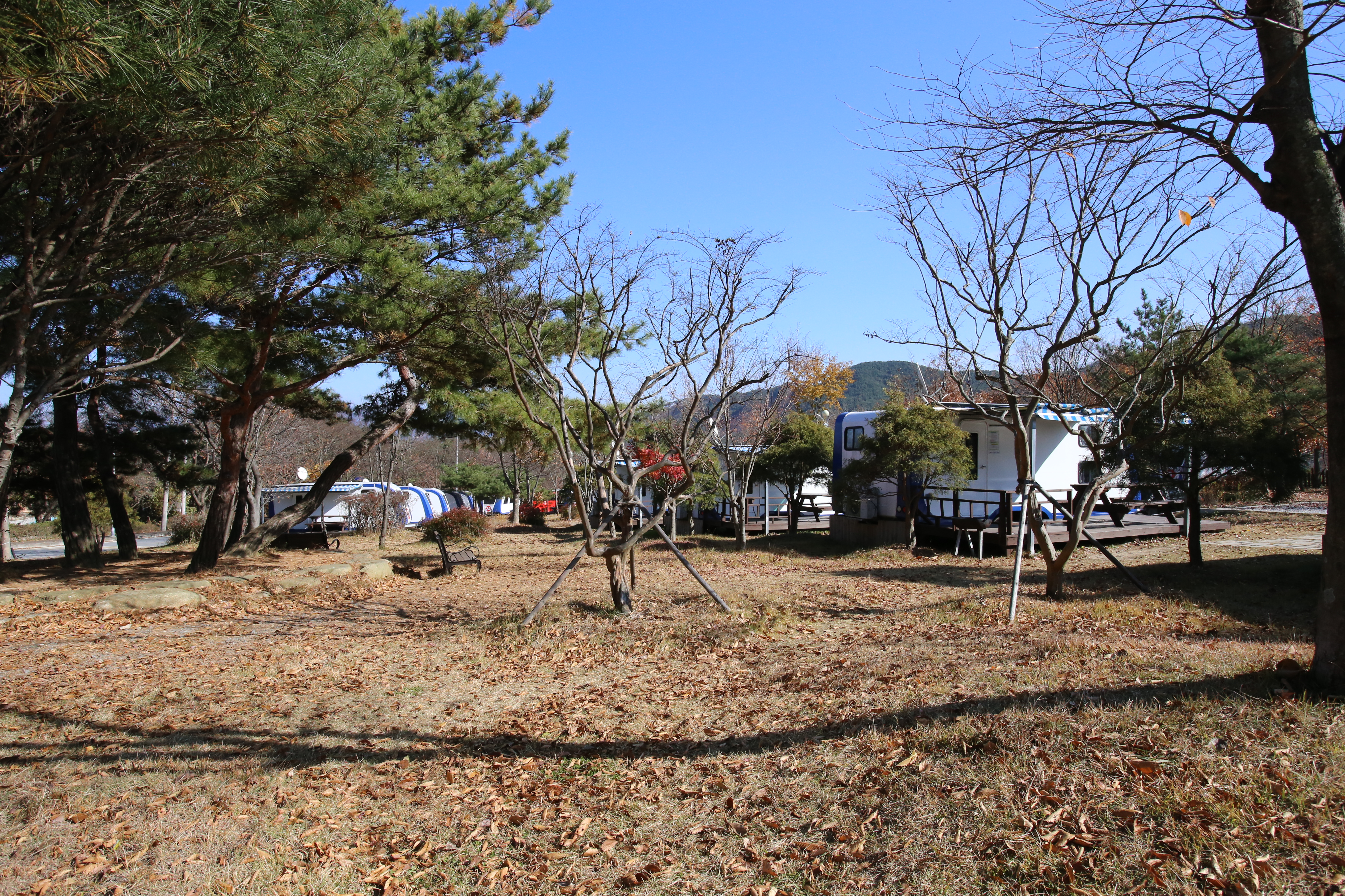 도림사오토캠핑리조트