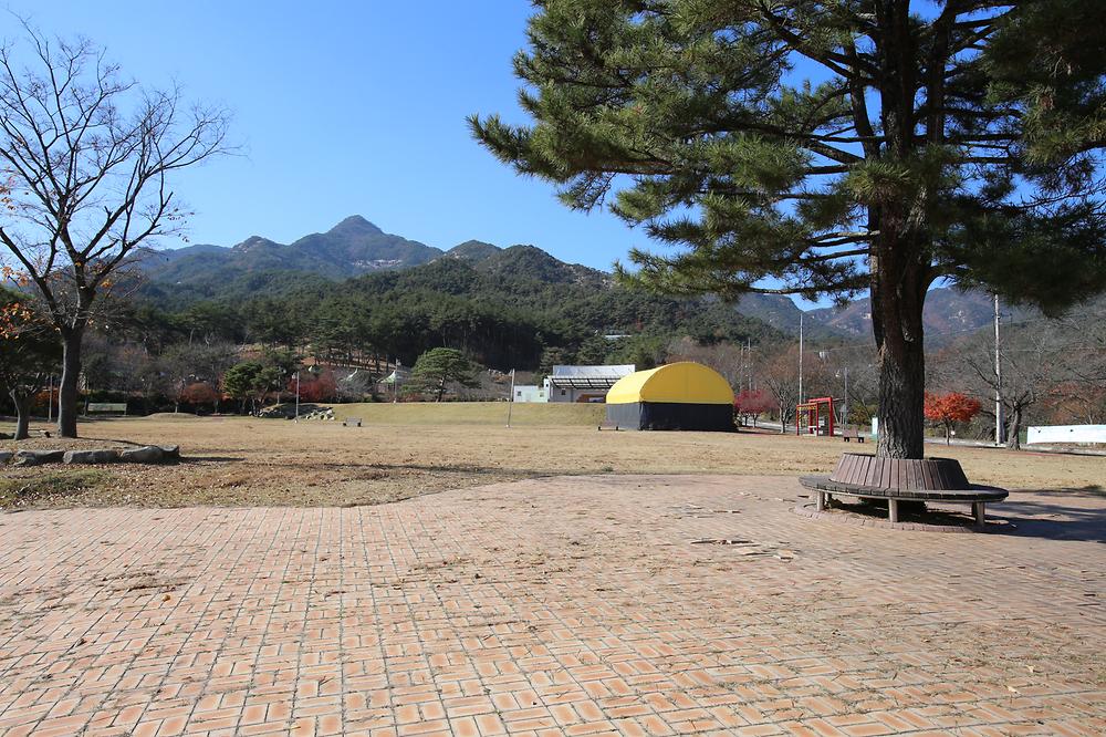 도림사오토캠핑장