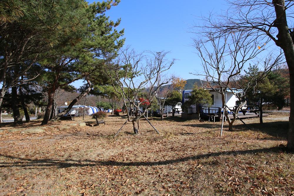 도림사오토캠핑장