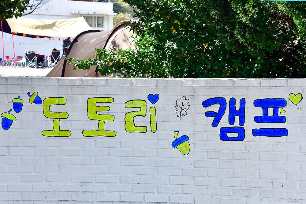 도토리캠프