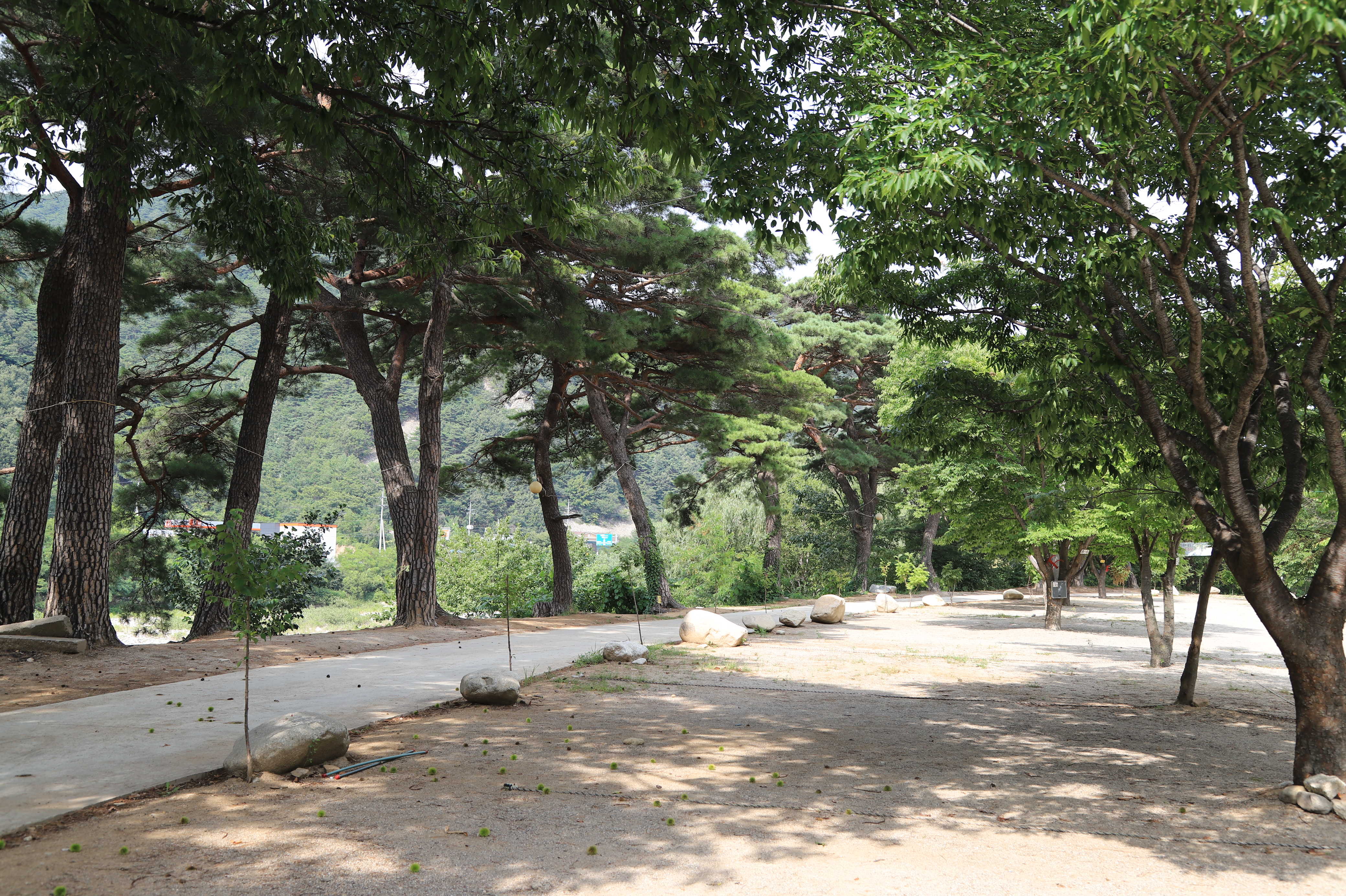 돌배야영장(제1야영장)