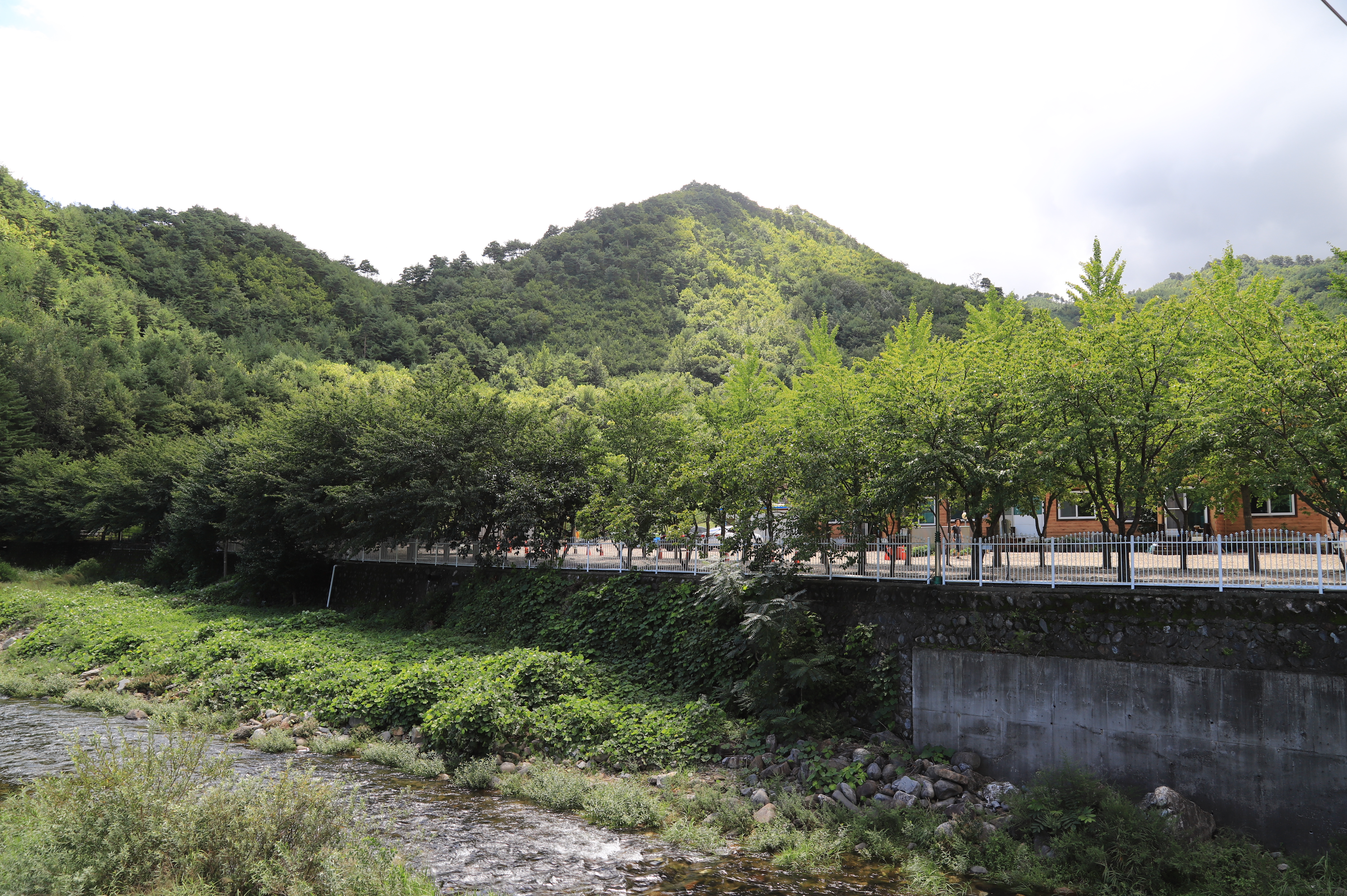 동막골캠핑장