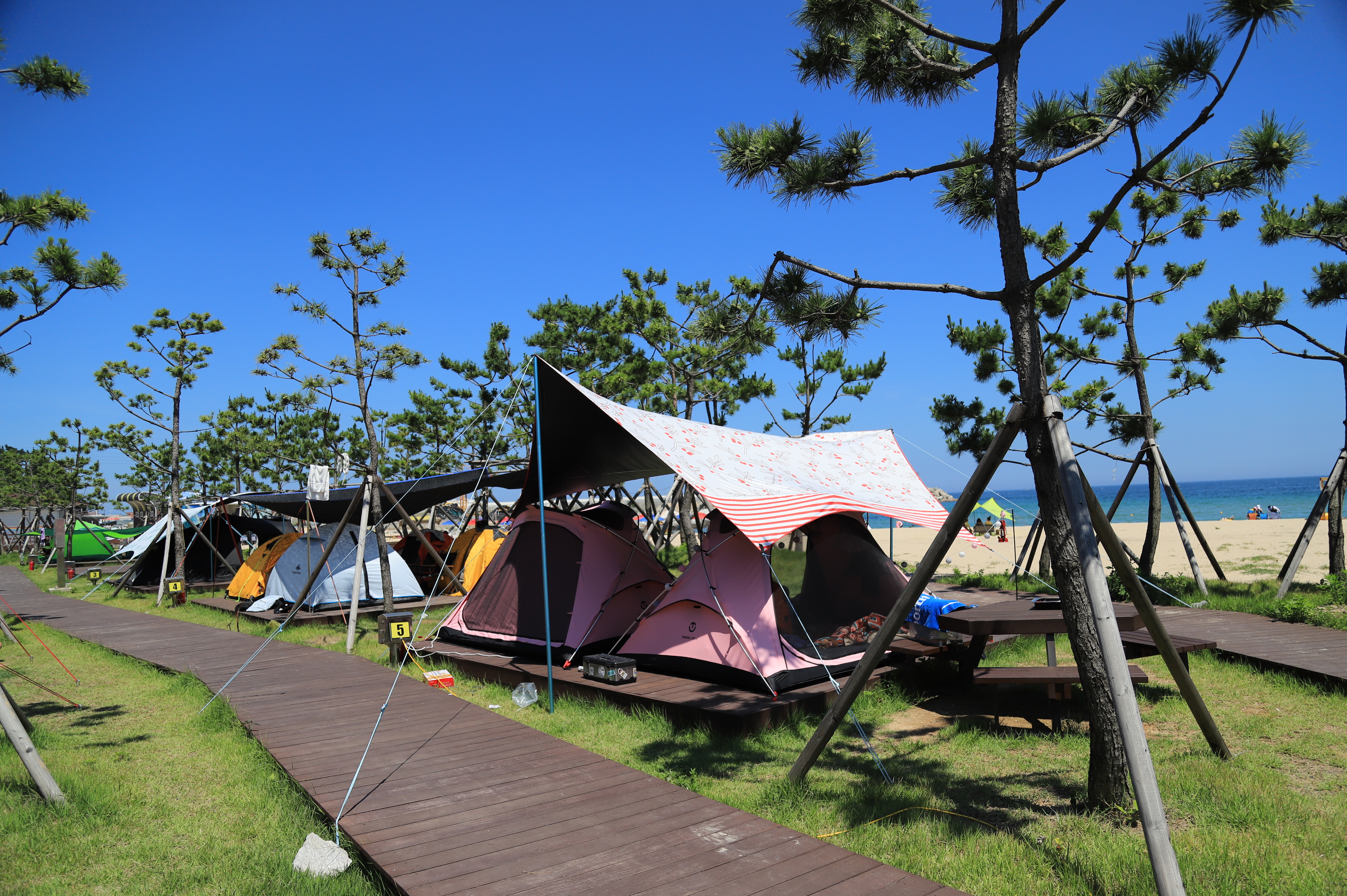 동산포 캠핑장
